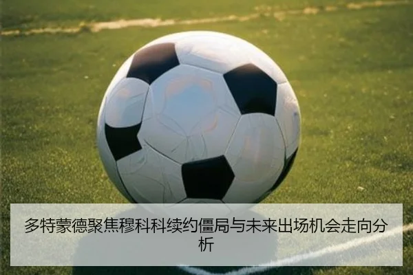 duo-te-meng-de-ju-jiao-mu-ke-ke-xu-yue-jiang-ju-yu-wei-lai-chu-chang-ji-hui-zou-xiang-fen-xi-2-223.jpg